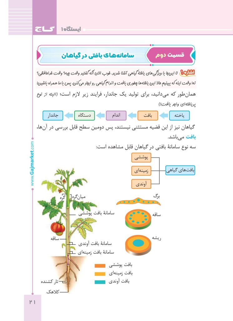 کتاب تست زیست گیاهی میکرو طلایی