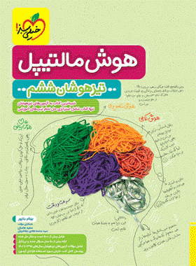 کتاب هوش مالتیپل تیزهوشان ششم دبستان انتشارات خیلی سبز