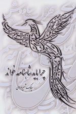 کتاب-چرا-باید-شاهنامه-خواند-9789641721628-gallery