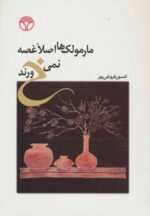 کتاب-مارمولک-ها-اصلا-غصه-نمی-خورند-9786009181698-gallery