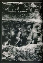 کتاب-نگاره-های-صخره-ای-ساسانی-9780000199638-gallery