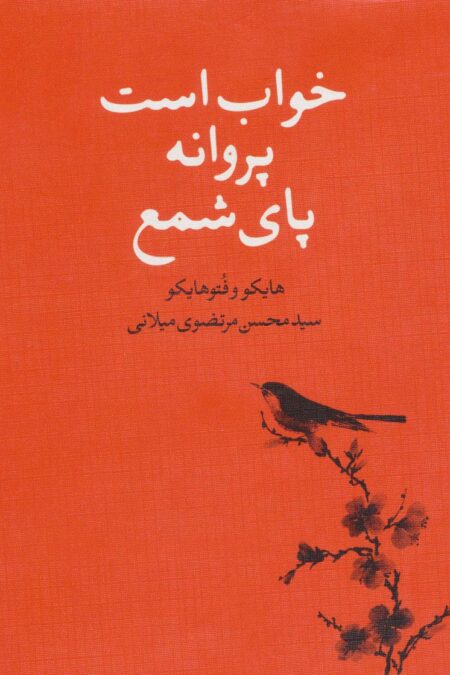 خواب است پروانه پای شمع (هایکو و فتوهایکو)