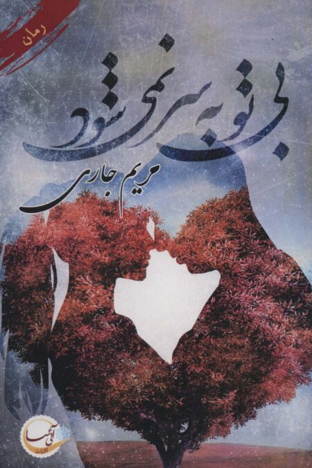 بی تو به سر  نمی شود