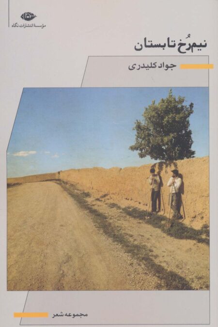 نیم رخ تابستان (مجموعه شعر)