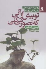 116695-3.jpg