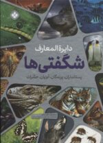 120322-4.jpg
