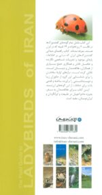 123291-1-4.jpg