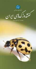 123291-4.jpg