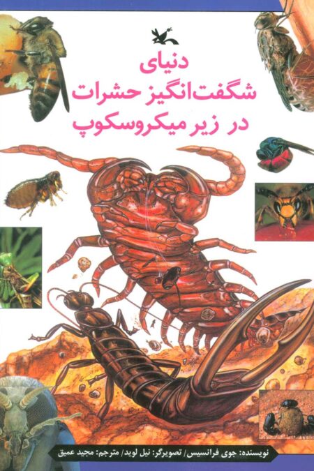 دنیای شگفت انگیز حشرات در زیر میکروسکوپ