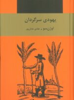 12881-5.jpg