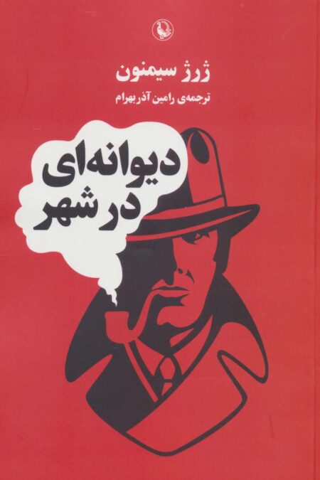 دیوانه ای در شهر