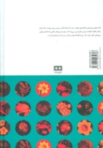 32226-1-4.jpg