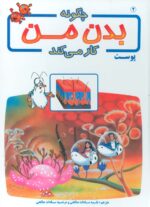 35995-3.jpg