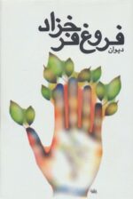 4800-6.jpg