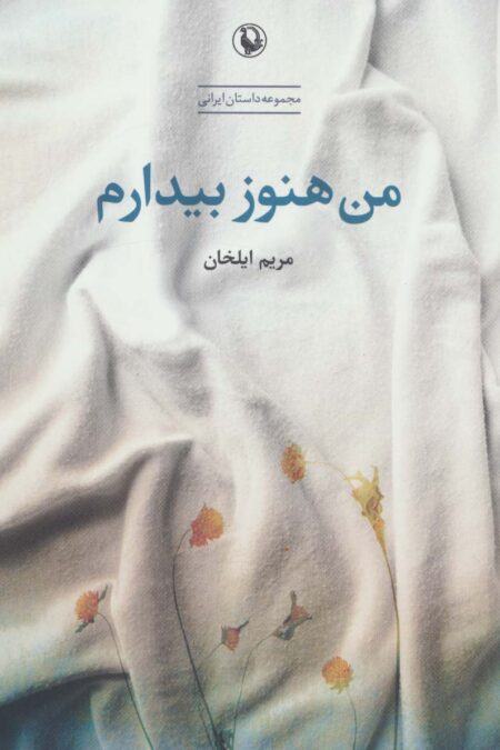 من هنوز بیدارم (مجموعه داستانی ایرانی)