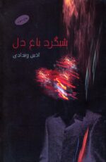65580-12.jpg