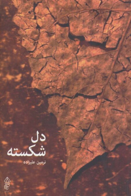 دل شکسته