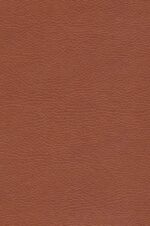 74089-1.jpg