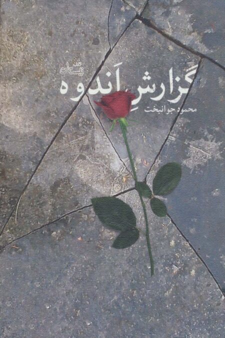 گزارش اندوه (ادبیات برتر،رمان91)