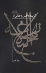 93281-5.jpg
