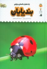 117032-6.jpg