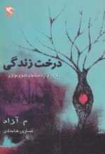 40070-6.jpg