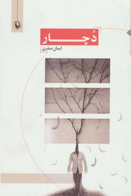 دچار (مجموعه شعر)