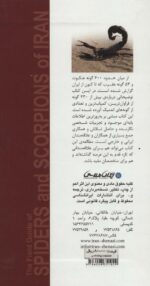 88127-1-6.jpg