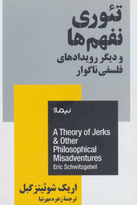 تئوری نفهم ها و دیگر رویدادهای فلسفی ناگوار