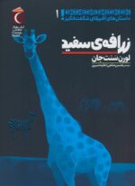 132969-11.jpg