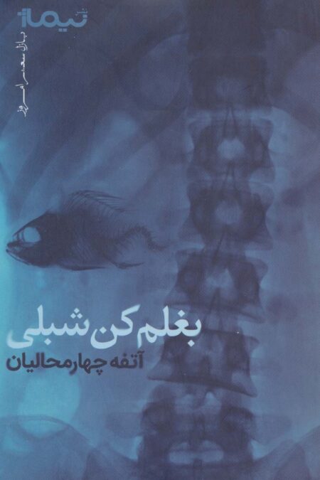 بغلم کن شبلی (پازل شعر امروز)