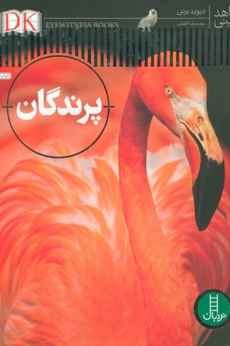 پرندگان (شاهد عینی)،(گلاسه)