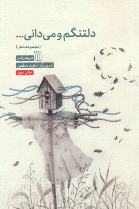 دلتنگم و می دانی...