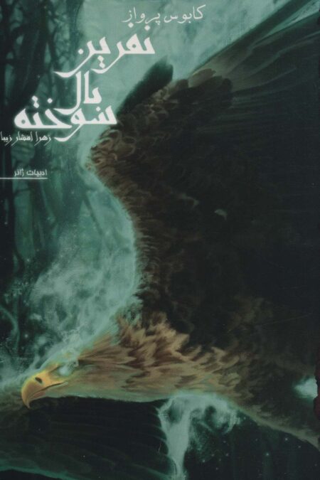 نفرین بال سوخته 1 (کابوس پرواز)