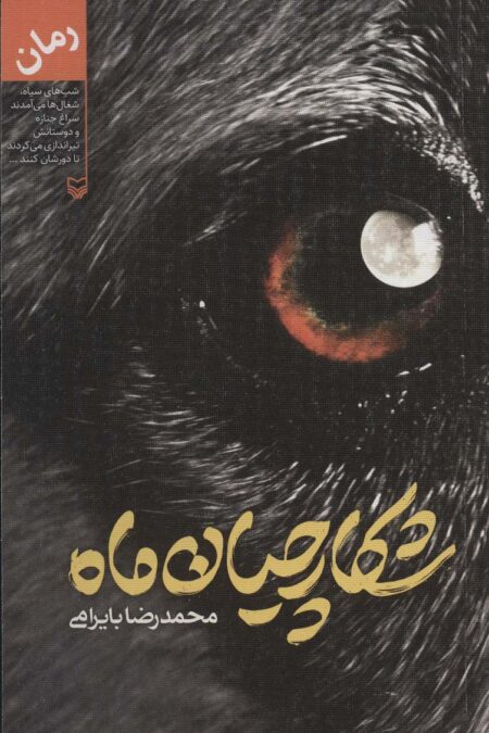 شکارچیان ماه