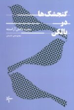 131772-5.jpg