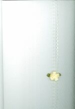62864-5.jpg