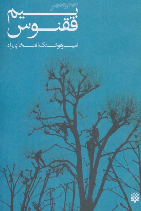 بیم ققنوس (مجموعه شعر)