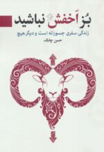 87902-5.jpg