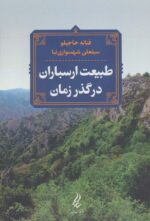 95711-7.jpg
