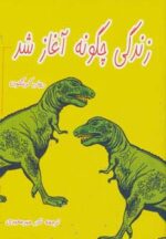 34972-6.jpg