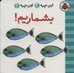 44310-14.jpg