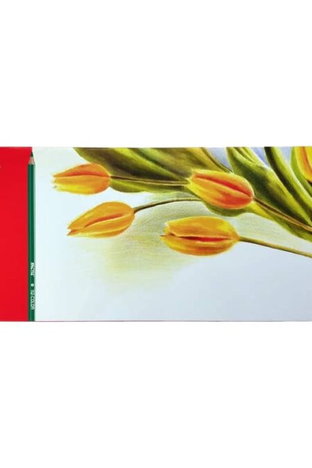 مداد رنگی 50 رنگ جعبه فلزی فکتیس