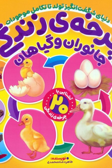 چرخه ی زندگی جانوران و گیاهان (دنیای شگفت انگیز تولد تا تکامل موجودات)