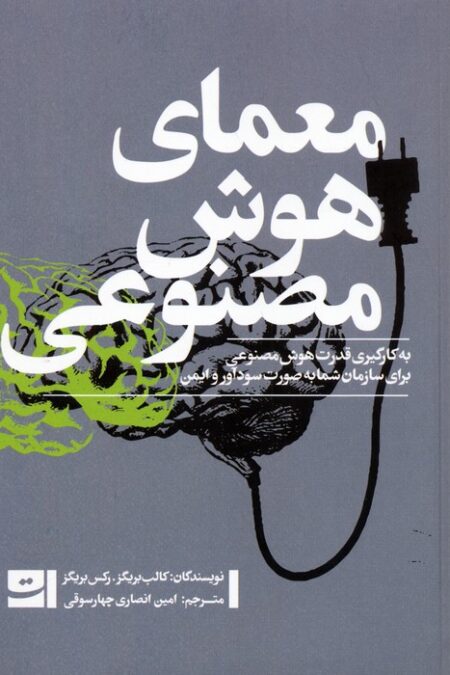 معمای هوش مصنوعی (به کارگیری قدرت هوش مصنوعی برای سازمان شما به صورت سودآور و ایمن)