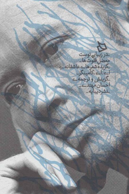 در زیبایی توست معضل فلوت ها (گزیده شعرهای عاشقانه)