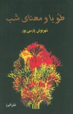 862-11.jpg
