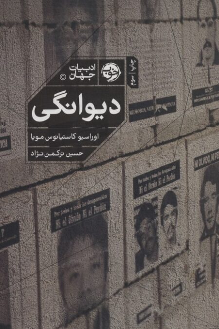 دیوانگی (ادبیات جهان)
