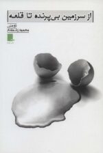 105986-4.jpg