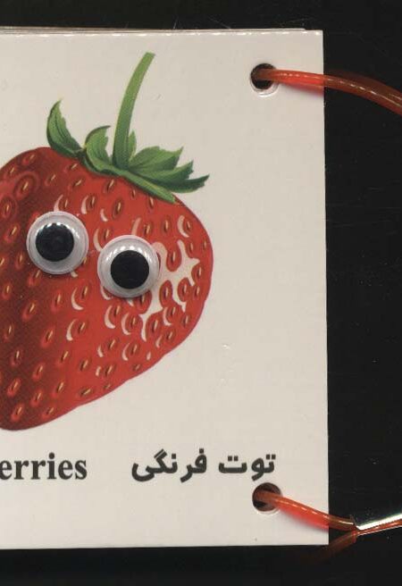 فلش کارت چشمی میوه ها (2زبانه،دستگیره دار)